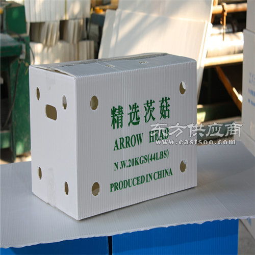 西安鈣塑蔬菜箱,鈣塑蔬菜箱廠家,飛燕塑膠制品圖片