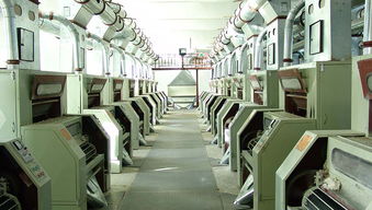 新疆魯泰豐收棉業有限責任公司