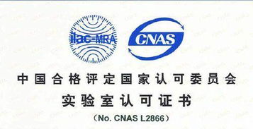 CNAS認可的專業(yè)咨詢單位機構(gòu)在軟件開發(fā)領域的作用