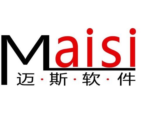 科技賦能，數智轉型 合肥邁斯軟件科技的軟件開發之道